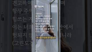 흔들릴 때일수록 더 굳세게 #말씀만나 #주쉼교회 #성구암송
