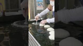반죽부터 남다른 전국구 왕호떡/Famous hotteok house near Tongbuk market #shortsvideo