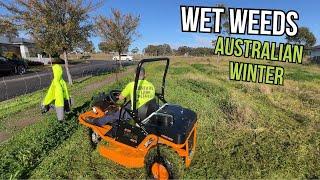 What it's like cutting Wet Weeds in An Australian Winter #satisfying