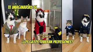 Te imaginas !Si los Gatos tuvieran PROFESIONES! 