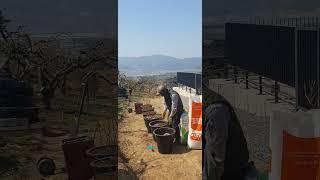 블루베리 먹을 수 있을까