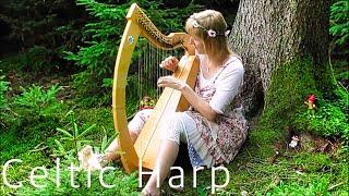 Celtic Harp in the fairy forest "Midsommar" - Claudia Kuhn"
