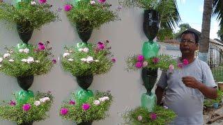 Tree planting in hanging bottles on wall