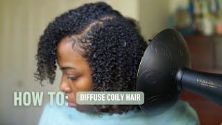 How to Diffuse Coily Hair | Stretch Diffusing | Curlsmith