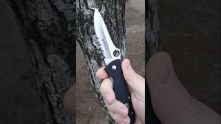Everyday Spyderco. Bob Terzula Starmate.