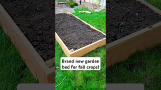 My brand new garden bed for Fall crops! #garden #raisedbedgardening