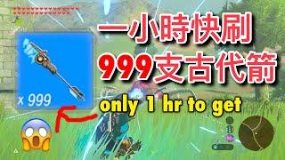 【薩爾達傳說 : 曠野之息】【最新攻略】一小時便可獲得999支古代箭