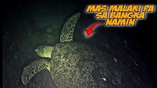 EP 213: NIGHT SPEARFISHING PHILIPPINES | NAGPAKITA NA NAMAN ANG HIGANTING BANTAY! | SISIDBIRI