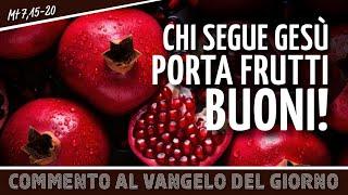 Commento al #vangelodelgiorno - CHI SEGUE GESÙ PORTA FRUTTI BUONI! - Mt 7,15-20