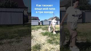 #shorts а как иначе