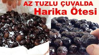  BASTIRMASELE ZEYTİN NASIL KURULUR ACISI NASIL GİDERİLİR İKİ TARİF