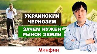 Рынок земли в Украине: Когда заработает? Как оценить стоимость земли? Риски инвестиций в землю?