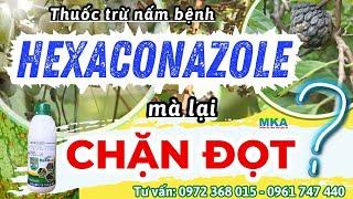 HEXACONAZOLE - HOẠT CHẤT TRỪ NẤM BỆNH, CHẶN ĐỌT HIỆU QUẢ TRÊN CÂY TRỒNG | HEXA 11SC MKA