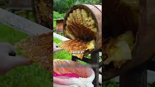 КАК ВЫГЛЯДЕТЬ МОЛОЖЕ НА 20 ЛЕТ БЕЗ ПРОЦЕДУР? 