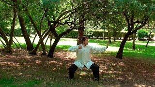 Chi Kung de los 8 Brocados, BADUANJIN QI GONG