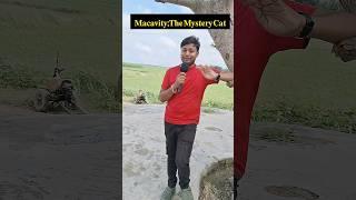 Macavity The Mystery Cat #class12thbseb #pankajsir #shorts