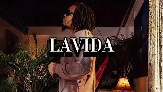 "LAVIDA" Olamide x Asake Afrodance Hall Type Beat2025