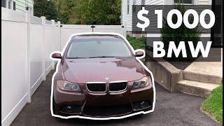 Why I daily drive a $1000 BMW Car