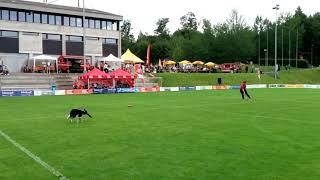 Freestyle dogfrisbee-Dana a BeeBe Švýcarsko 2019, 1.kolo