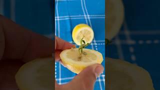 a seed has sprouted inside the lemon/ внутри лимона проросла косточка/#shorts