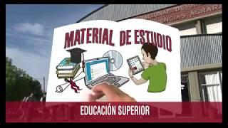 Colecciones para todos los gustos