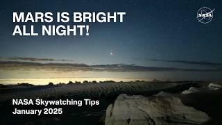 What's Up: January 2025 Skywatching Tips from NASA