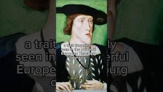The "Habsburg Jaw" #history #habsburgdynasty #arthistory #art