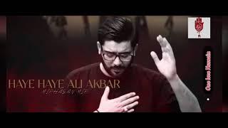 Haye Haye Ali Akbar || Mir Hasan Mir || kehti thi ye maa khoon bhari mayyat se lipat kar#mirhasanmir