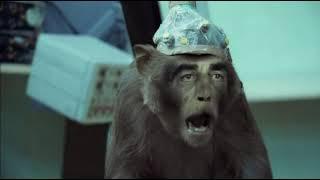 Basement Jaxx - Where's Your Head At (Official Video)