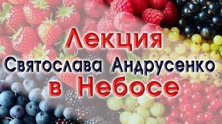 СЫРОЕДЕНИЕ. Лекция Святослава Андрусенко в Небосе! Это интересно!