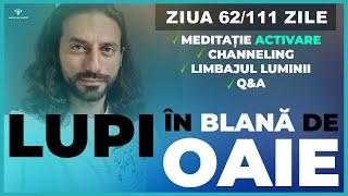 Meditație Activare, Channeling, Light Language, Ziua 62/111  Lupi în Blană de OAIE! 