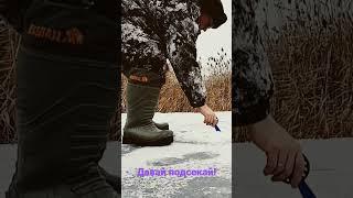 Давай подсекай!