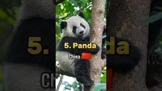 Top 10 National Animals From Different Countries in the World #shorts @GajendraPrajapati7