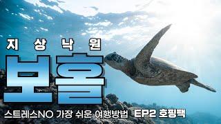 보홀 EP2 떠먹여주는 보홀 여행 완벽가이드! 맛있게 즐기기만 하자~  리조트 맛집 데이투어 호핑팩 하는법 보홀여행