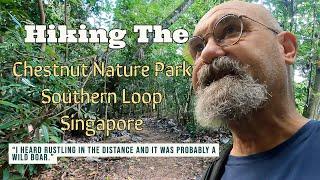 Hiking The Chestnut Nature Park Southern Loop Singapore