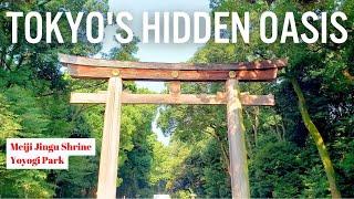 Tokyo’s Best Nature Walk: Meiji Jingu Shrine & Yoyogi Park Hidden Secrets