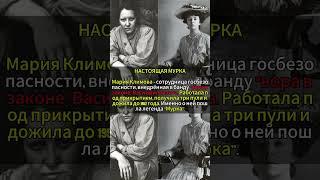 НАСТОЯЩАЯ МУРКА #история #редкие