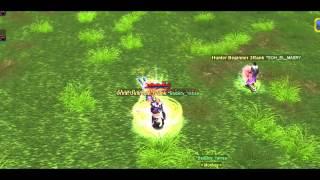 Silkroad Online |Yenaa !!  13D Warrior/Rogue  build  Random PvP enjoy.