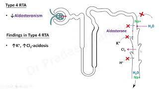 RTA (Renal Tubular Acidosis)