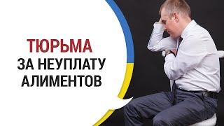 Могут ли посадить за неуплату алиментов?