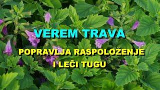 VEREM TRAVA - POPRAVLJA RASPOLOŽENJE i LEČI TUGU