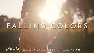 Falling Colors | Cinematic Video Shot on SONY FX3  #japan #sonyfx3 #cinematic