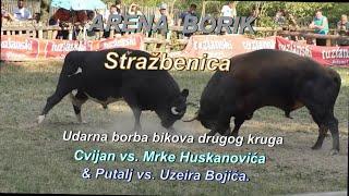 Cvijan vs. Mrke Huskanovića & Putalj vs. Uzeira Bojića. Stražbenica 2024.