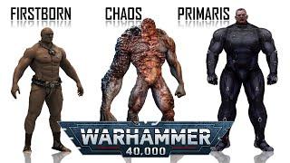 Space Marine Differences - Firstborn, Chaos and Primaris (Warhammer 40K)