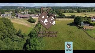 The Donkey Sanctuary Sidmouth - aerial intro