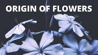 Origin of Flowers | Explore Nature