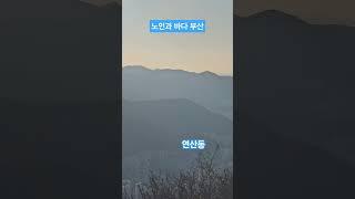 노인과 아파트  부산