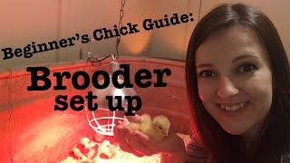 Beginner’s Guide to Raising Chicks | Brooder Set Up