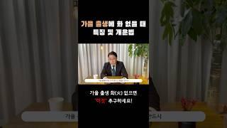가을 출생에 화 없으면 이것 보고 따라하세요 #사주 #사주팔자