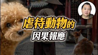 【輪迴】虐待動物的因果報應！善惡業力循環，累世果報真實故事！